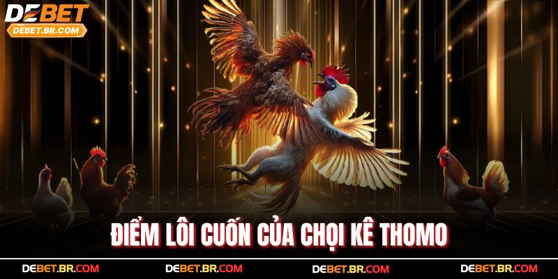 Điểm lôi cuốn của chọi kê Thomo